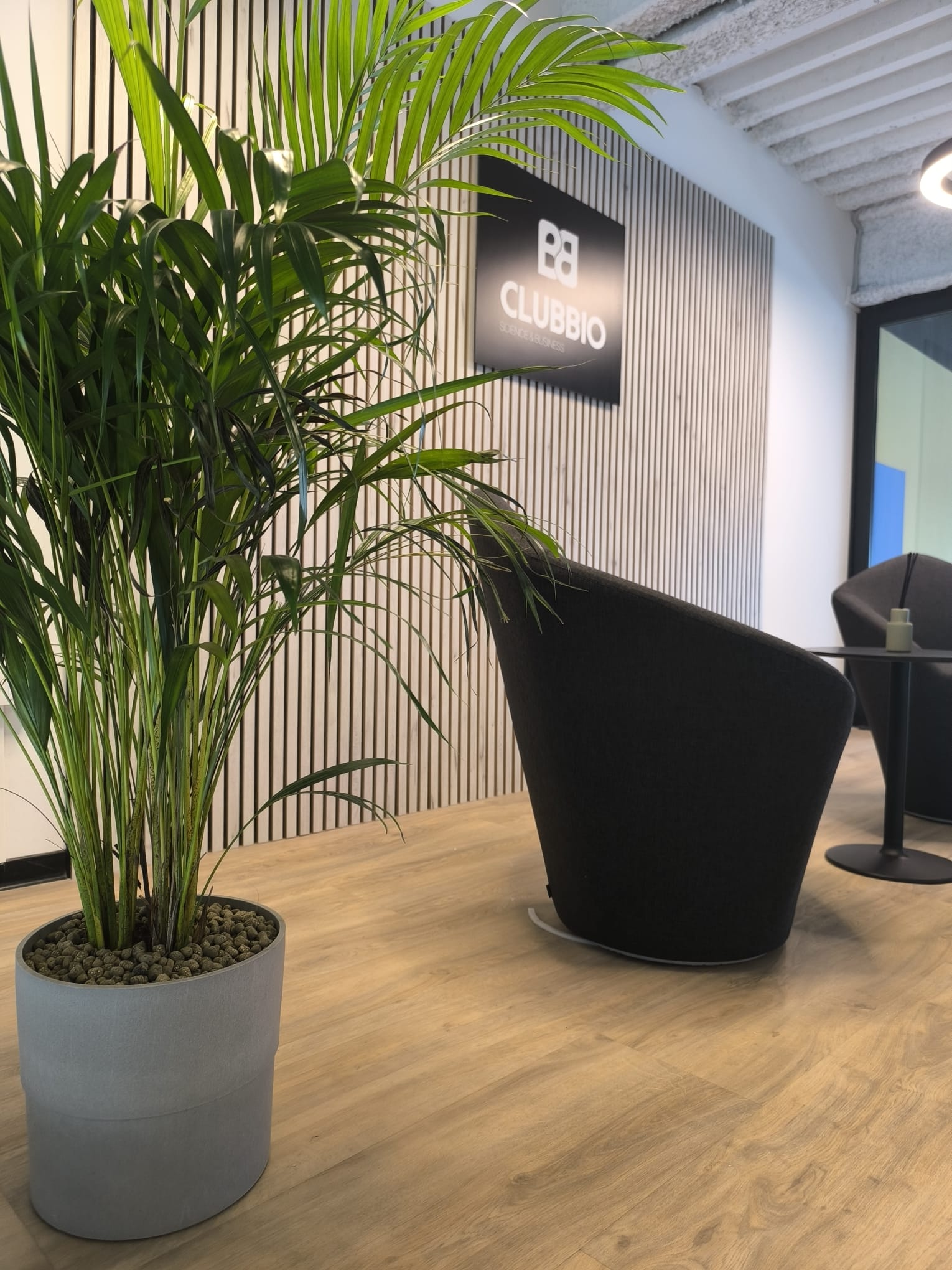 WhatsApp Image 2025-10-22 at 08.23.50 (1)