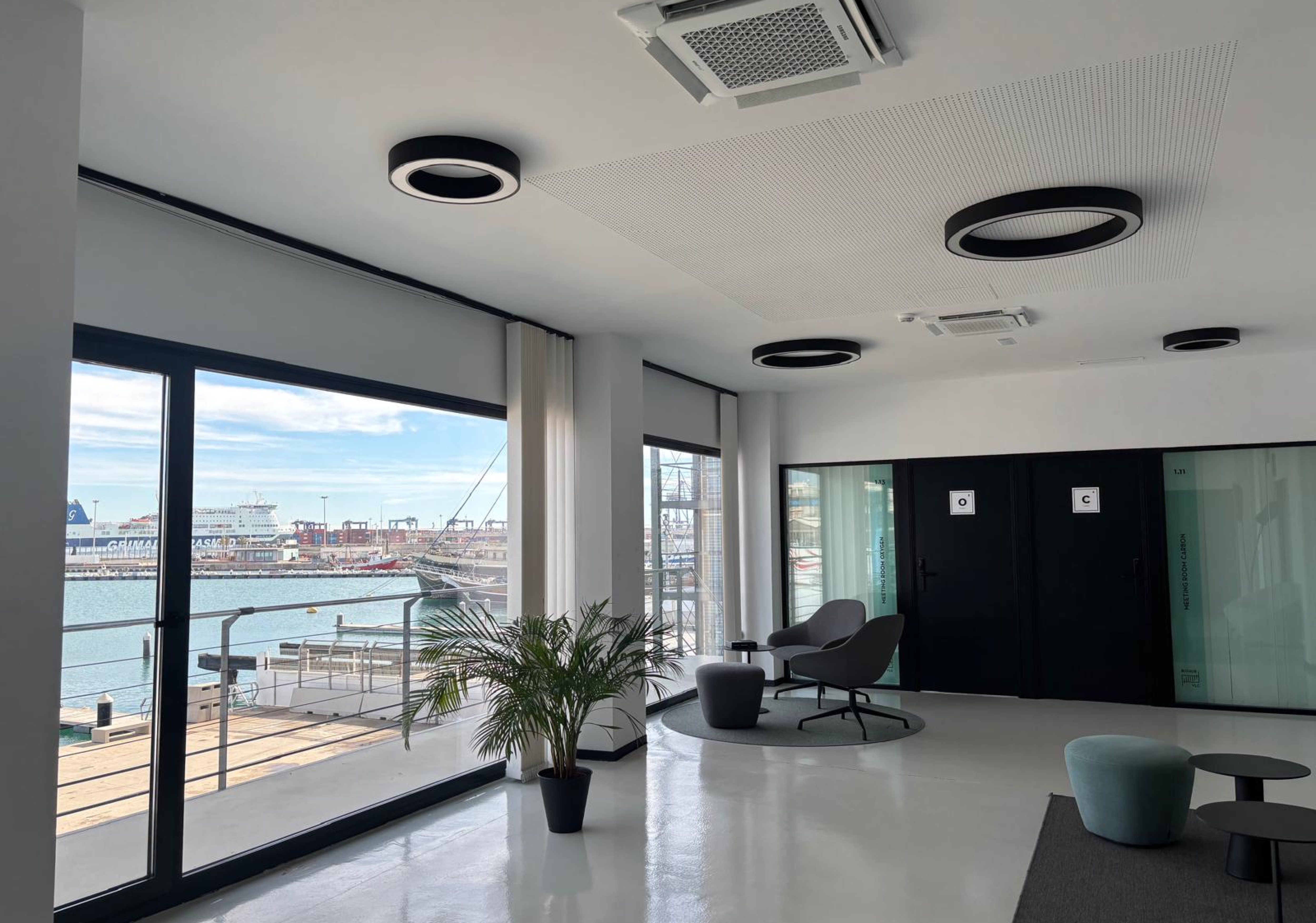 WhatsApp Image 2026-02-09 at 16.15.24