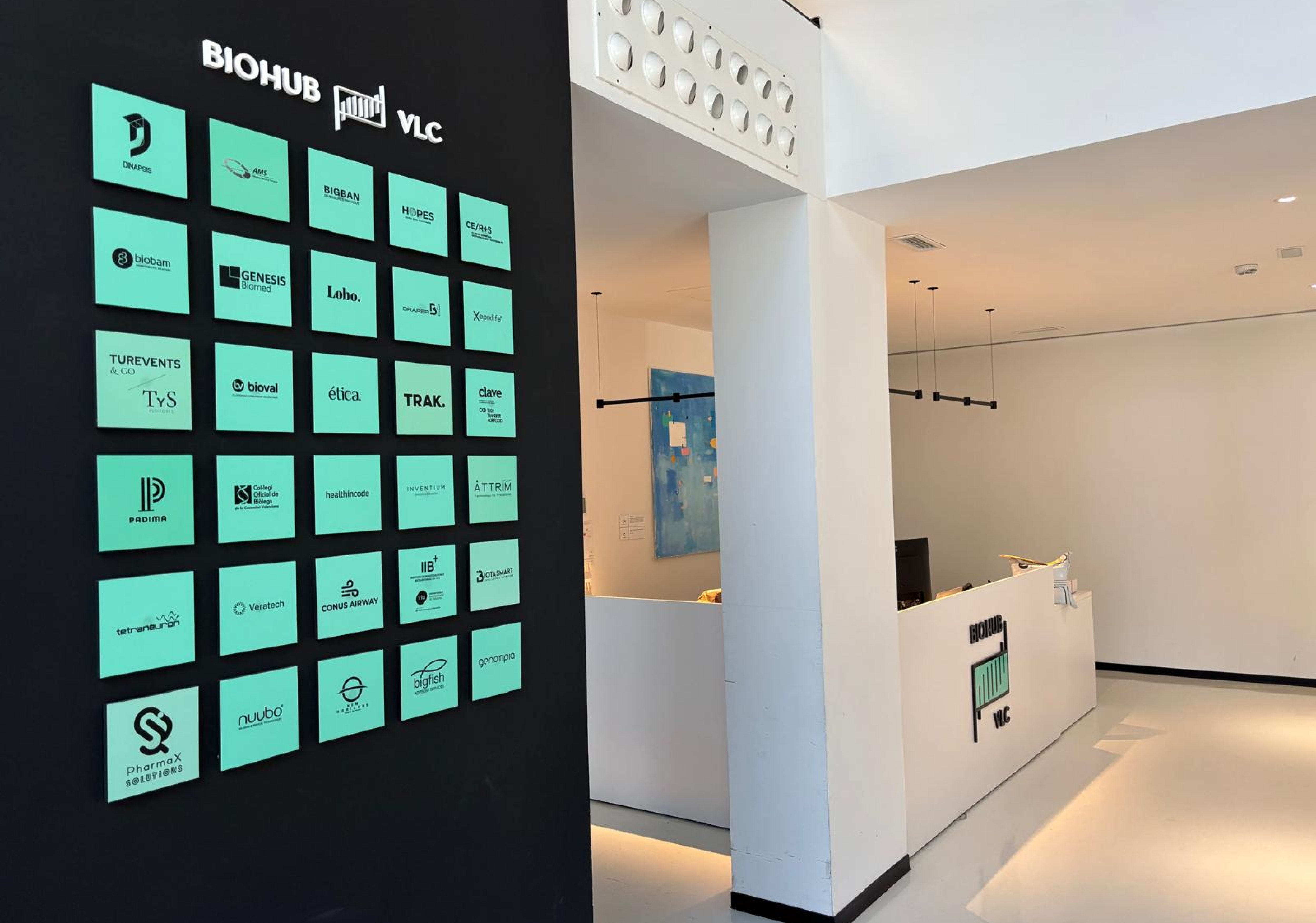 WhatsApp Image 2026-02-09 at 16.15.30