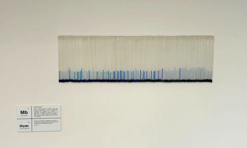 WhatsApp Image 2026-02-10 at 08.38.29